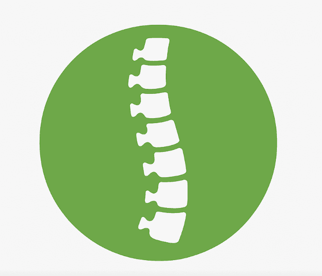 Spinal Alignment Therapy