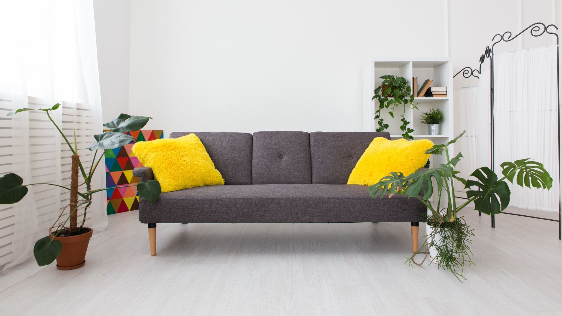 modern studio apartment with living plants. bright colors in the interior. gray sofa with yellow pillows.